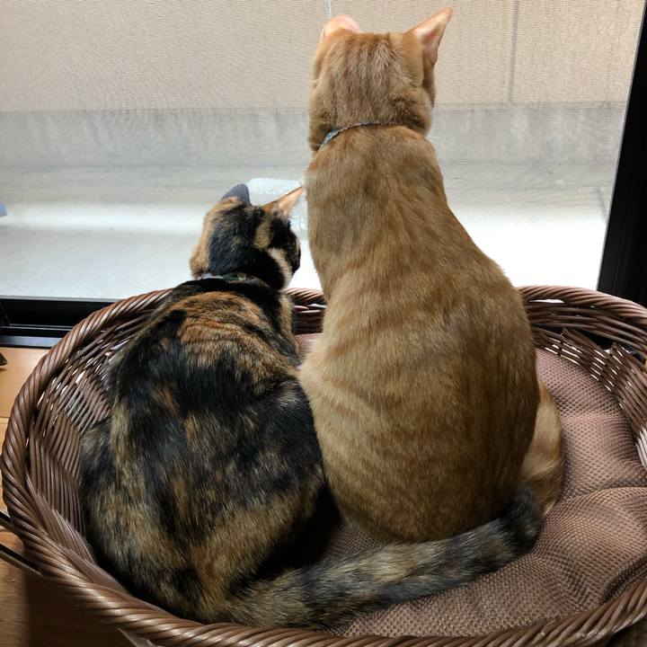 177a68e4 be0e 4f16 b64b c9ddf30f9a06 1570604471808