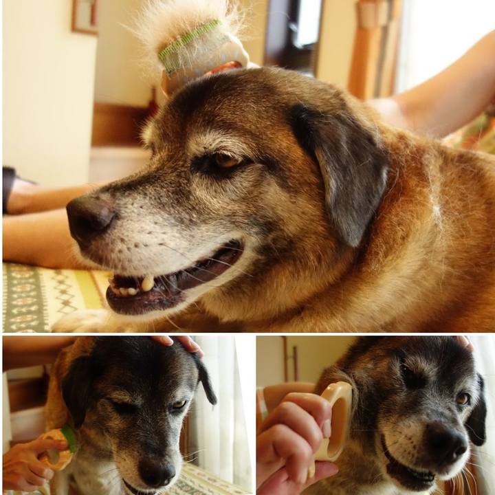 177a7ebe 392e 4ddc 8041 33fa4ad83e16 1532179277461