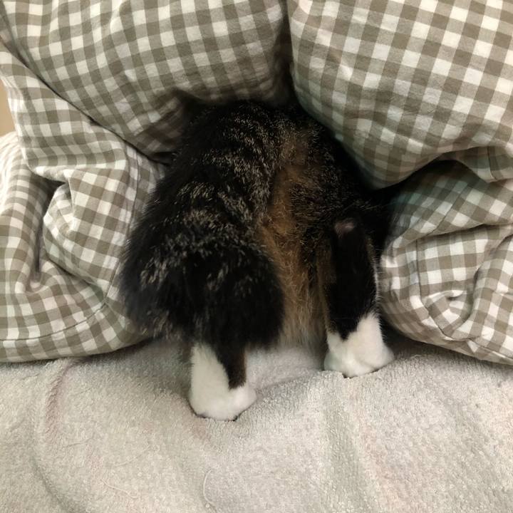 177a9b39 33e6 4ce8 ae0d 03f0f233a676 1604452487076