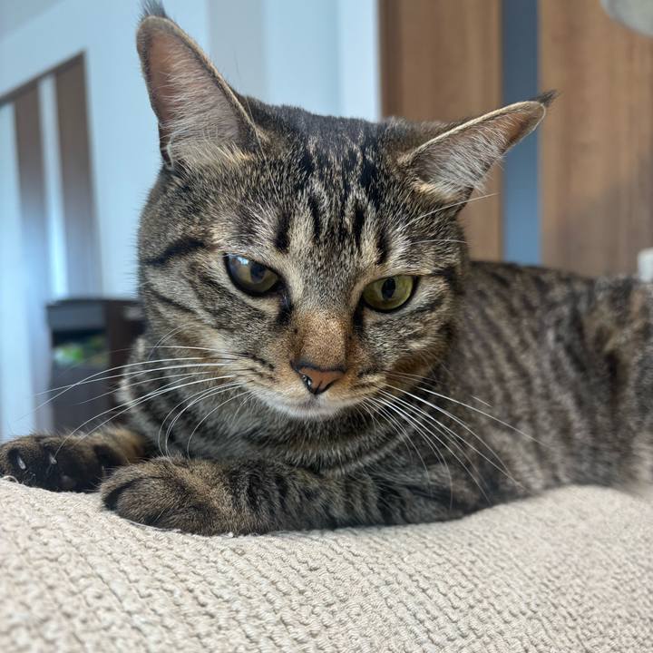 177abe27 b1bf 4fa7 8dc4 83dd70c7a788 1759116198718