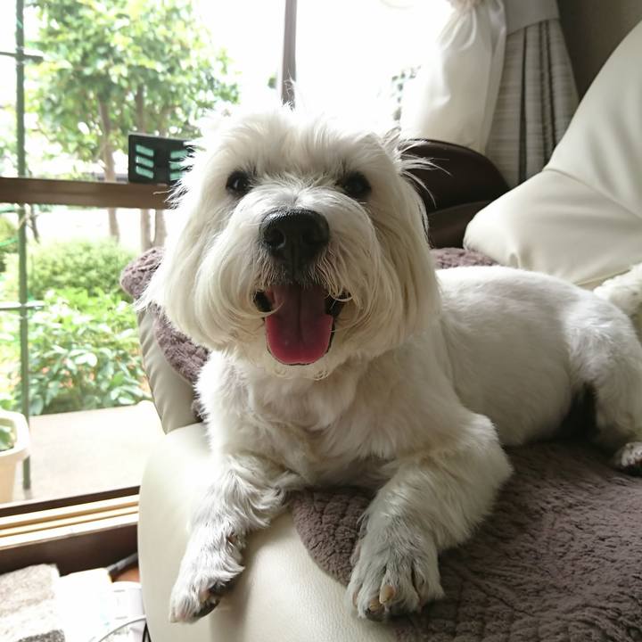 177ad25b 66e0 4184 a2d7 c291142b5e0b 1530332298812