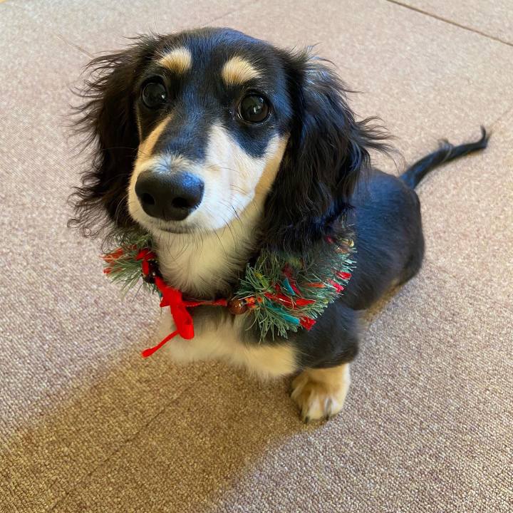 177aee96 714c 48ab 9ebb 68a5cf080775 1671836652875