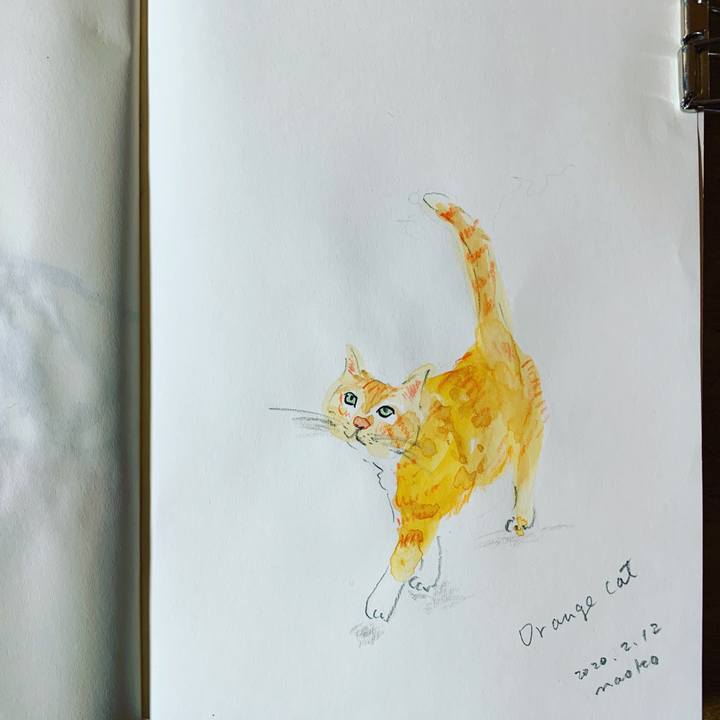 177b34f6 a2d5 40bc a7f3 d0a58123e2ec 1581503536094