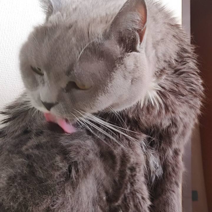 177b4c2d e0fc 447b b1f3 f5c7cf257785 1728786778029