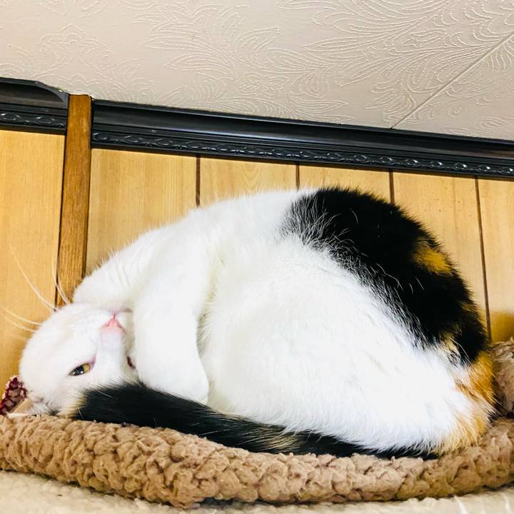 177b5ec4 dc3c 4eba 813a b96c04c6e82a 1701899744739