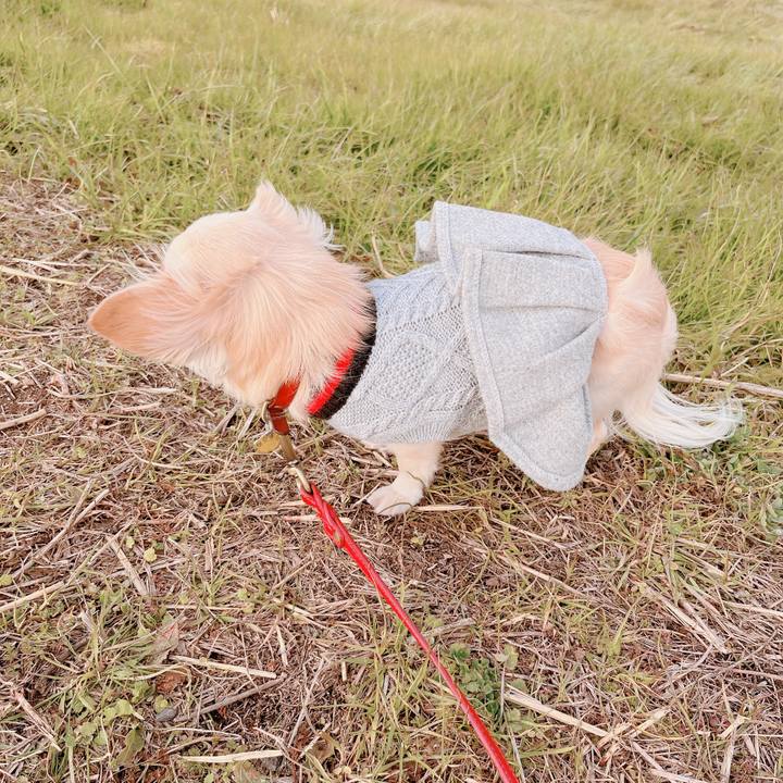 177b5f65 6ba6 43a8 a7c7 aef69a98861d 1674118851060