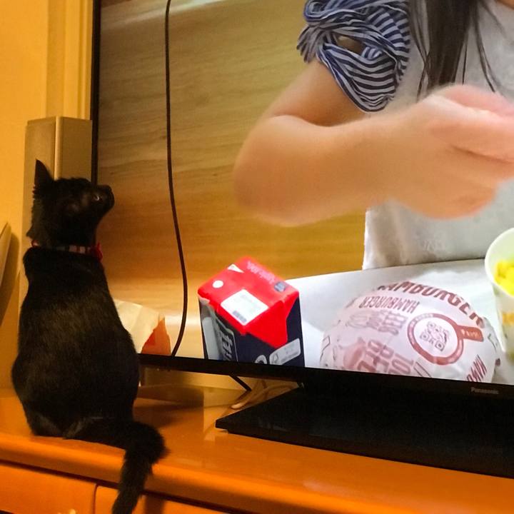 177b8786 2127 4624 bc1b 9bfc04a7fcc3 1666587280533