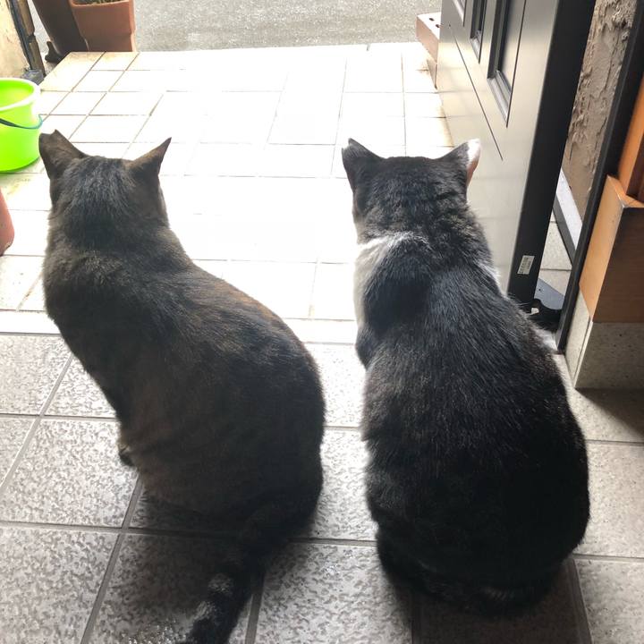 177bb12a e6e3 4ec3 8b0e 177d2409d6ed 1530846602742