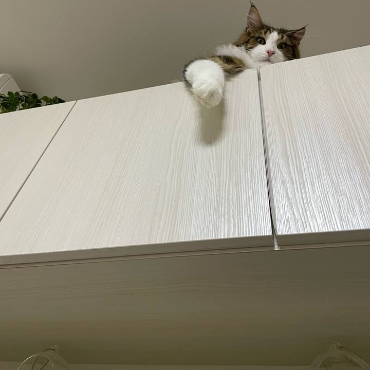 177be041 a0f4 414a a473 408b1c41cb01 1643543734937