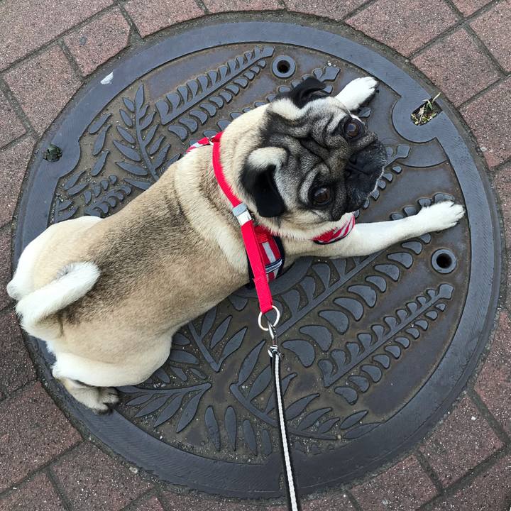 177be1ca 6da0 4579 8ae5 a0b87dc87c36 1555808721220