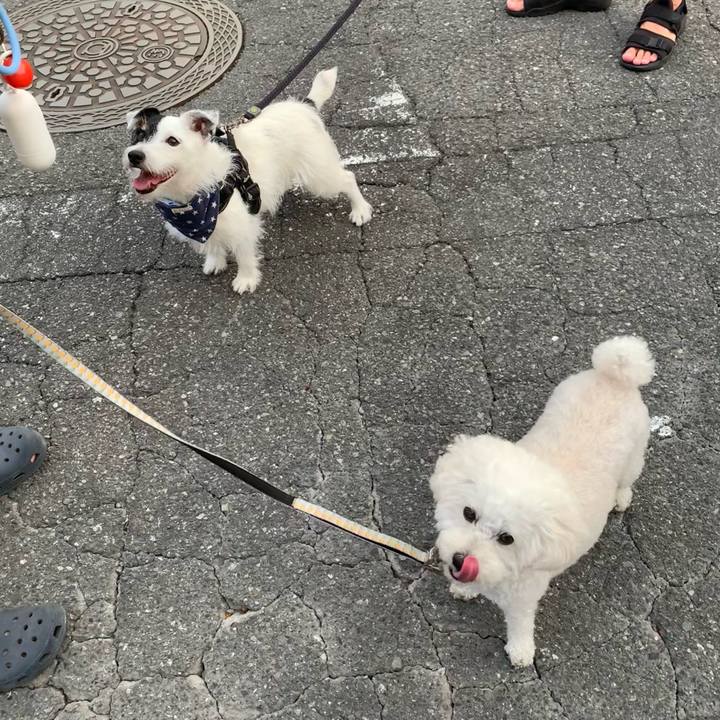 177be5fe bb35 49c8 902e 9cc66787863f 1723283907676