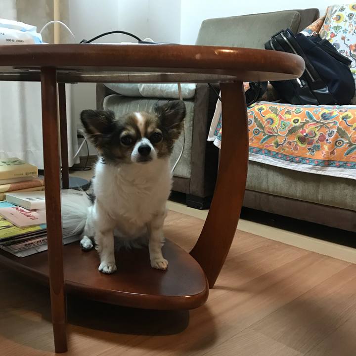 177bf2d2 3a12 43f9 ab23 9d8e6e43b928 1522761847863