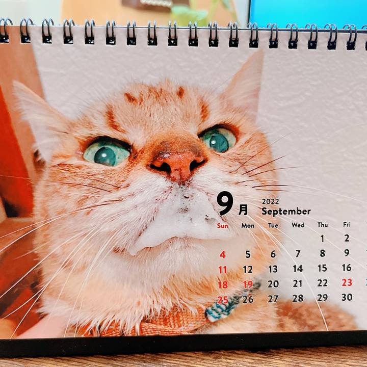 177c138c da61 4598 9868 6f742ebdf990 1662004502015