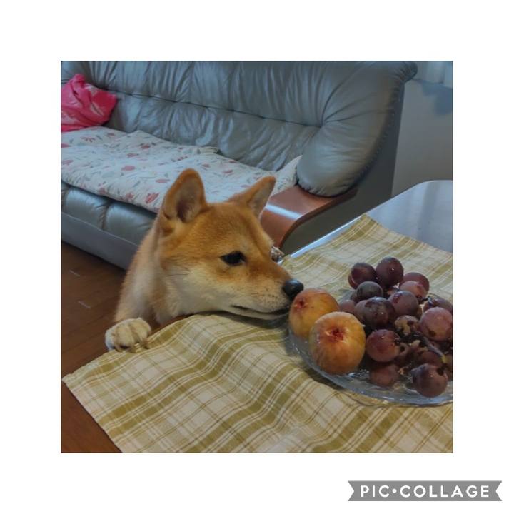 177c14f4 b31f 4972 bdc9 06acae166bc1 1663728332206