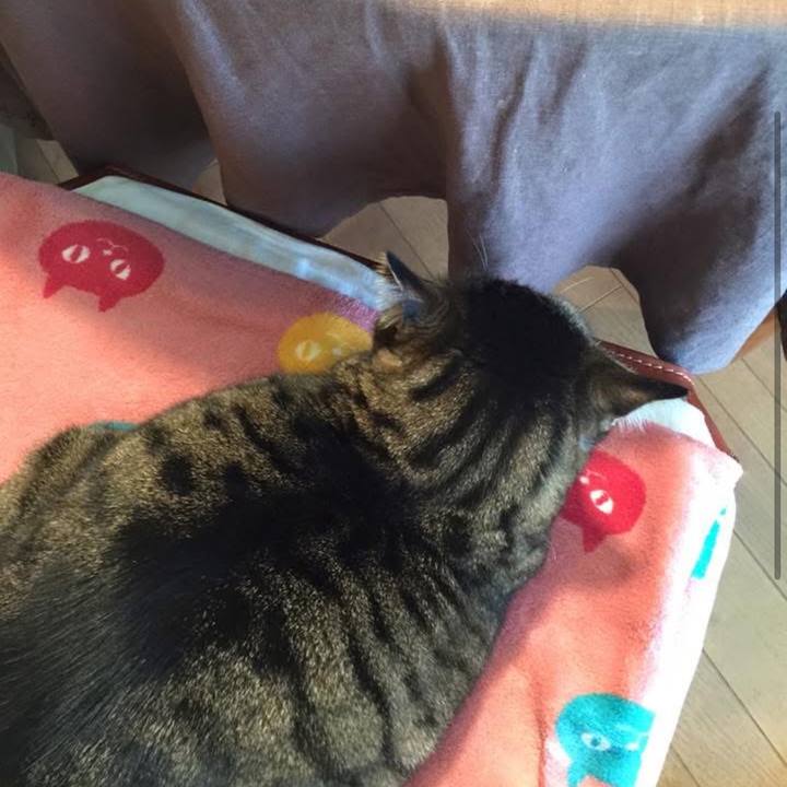 177c3eea 3d81 4db8 8778 8674bbe2f80e 1763124116272