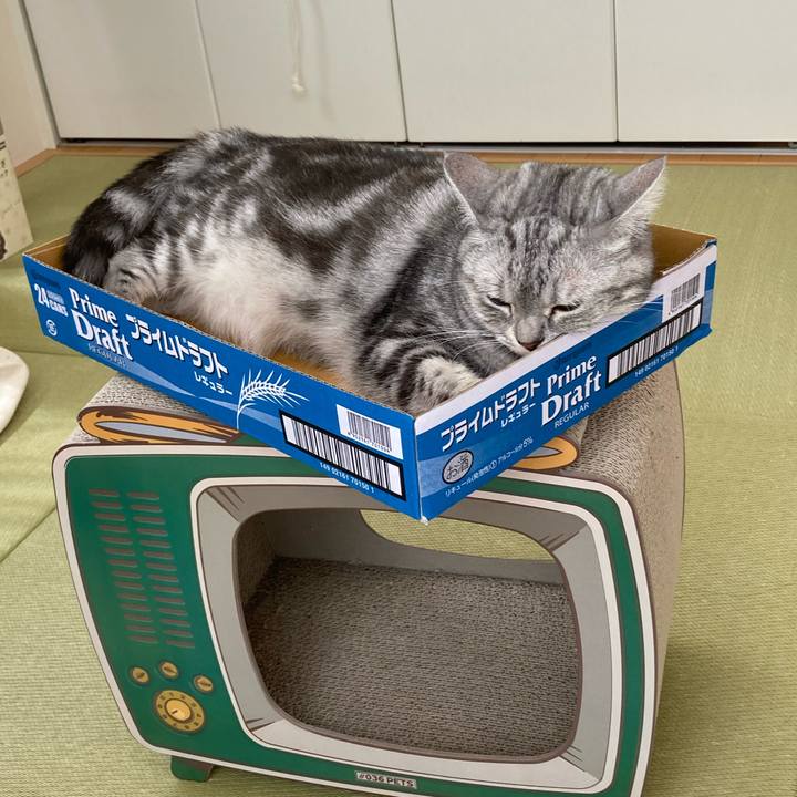 177cde61 1eac 495c a993 583a86db19cf 1599574632095