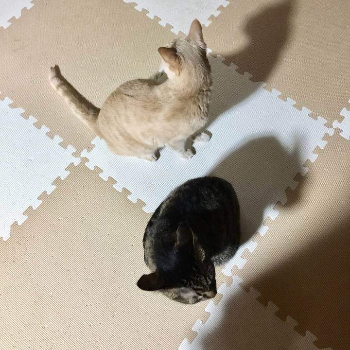 177ce9b4 d94a 43b2 958f 8386f0a9bcbb 1508758340516