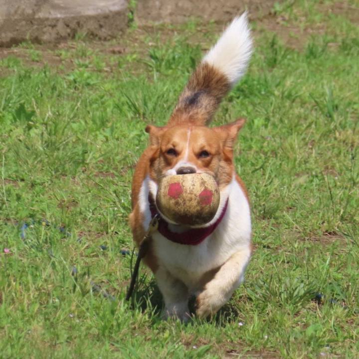 177cefbb 44ac 4c32 ba47 e566f70c0b5a 1624493796708