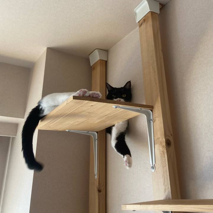 177d2ffe 22a1 437d 8e1b 78d311a7fc13 1729738660123