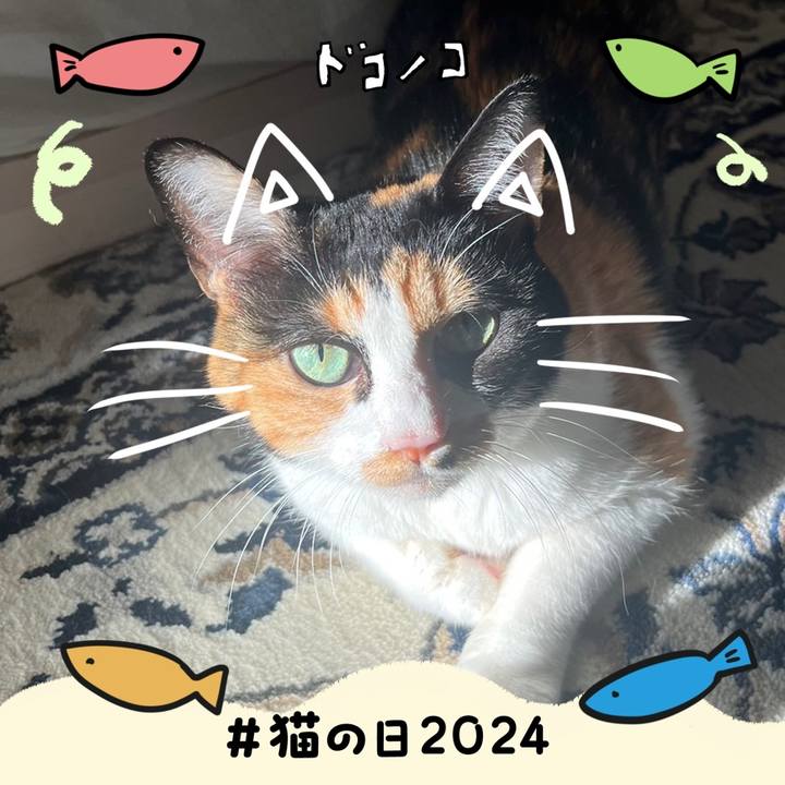 177d3ad0 c091 4088 86fd 4771b432f330 1708555392066