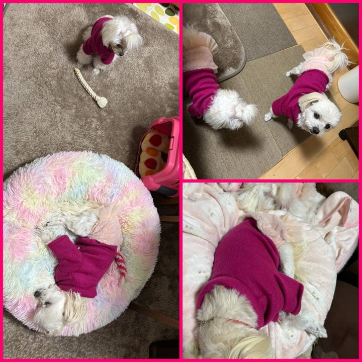 177d474e b7ef 4f30 83a8 1c6a025f35b3 1735810243477