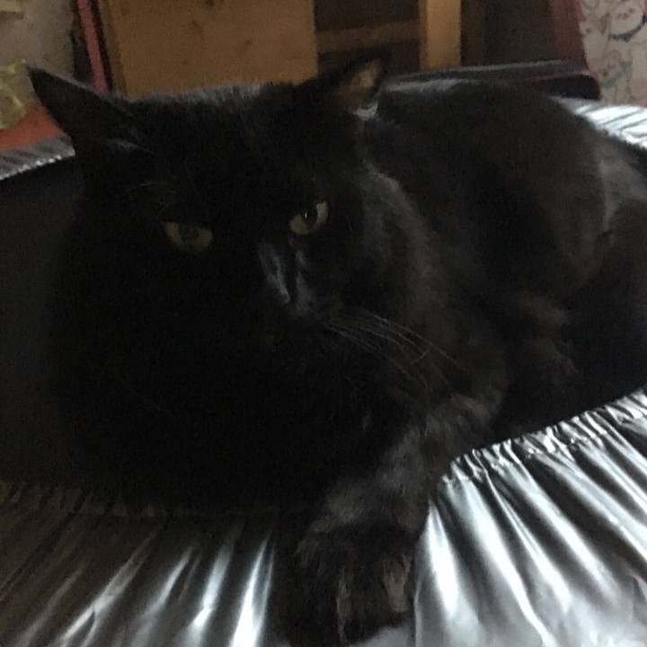 177d6e07 10e9 4b6f 8cdc ef91aa88e1e6 1535966304623