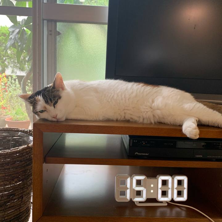 177d8752 b4f0 414a b418 6d1a9178f006 1665381574798