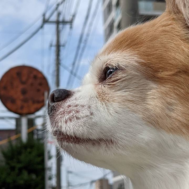 177d8fd7 8523 4c6e 8035 a7095515228c 1624333937465