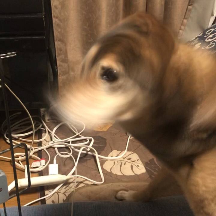 177da3e6 09da 448a ac78 445e202ced84 1549704542843