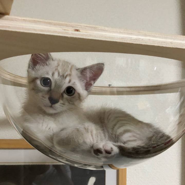 177df6d9 f844 45a0 83ba abf58255dd64 1601976566149