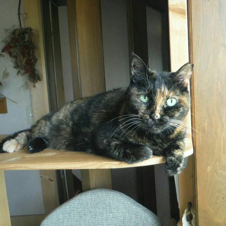 177e413c 55ea 4b77 9ea0 0a9640192b94 1562821942489