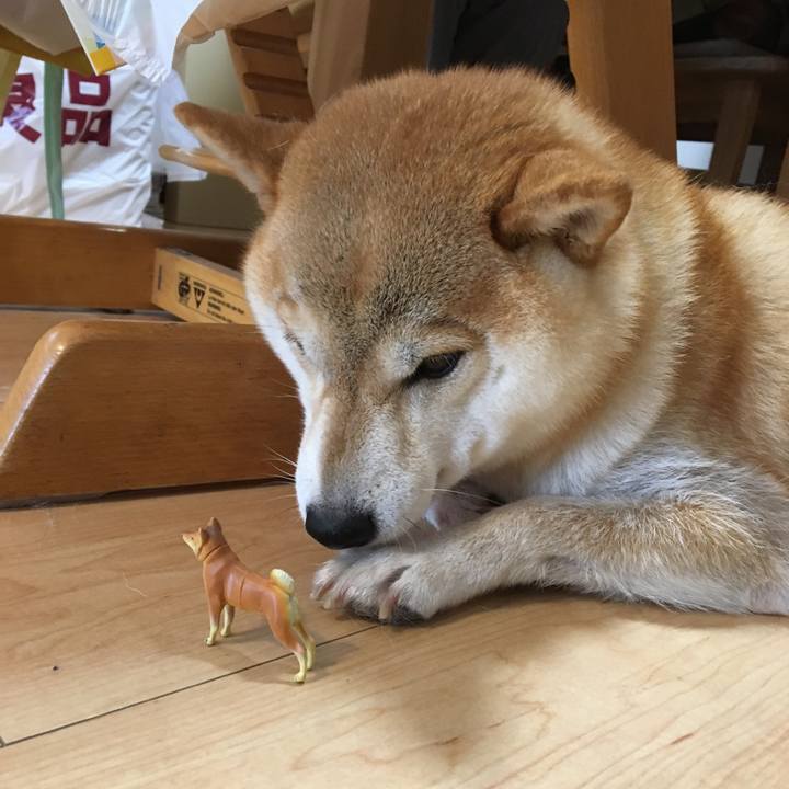 177e4b5d 5293 46b3 aa37 29adac478509 1569222133457