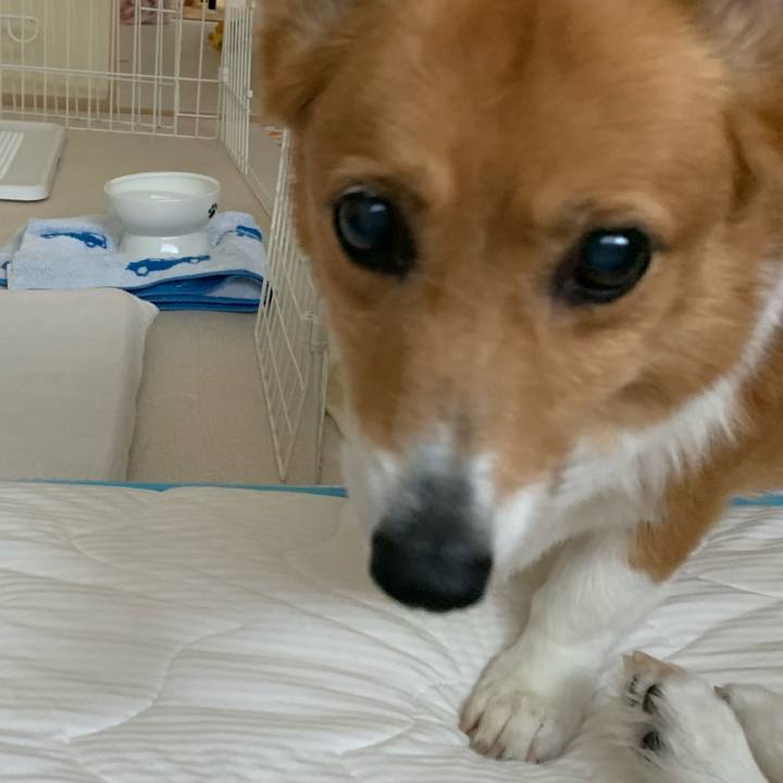 177e5b2f 3032 4d48 924c 15c1c69850aa 1722739812719