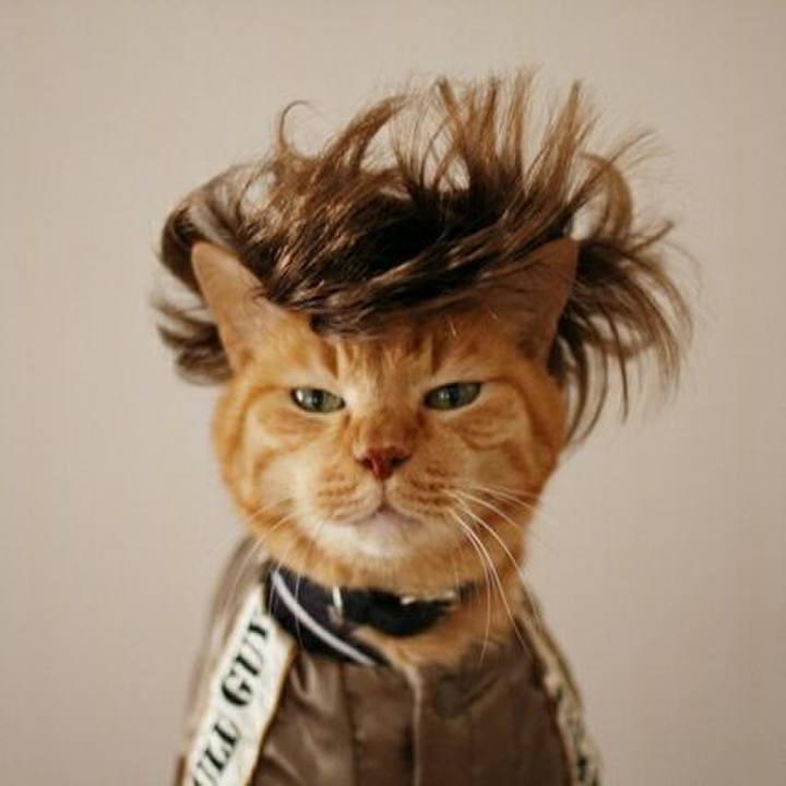 177e5d7f f6f9 499b 8f51 f5fd78627c19 1543300773492