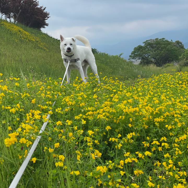 177e8729 42a3 4e38 a053 89728d8e765c 1746917573597