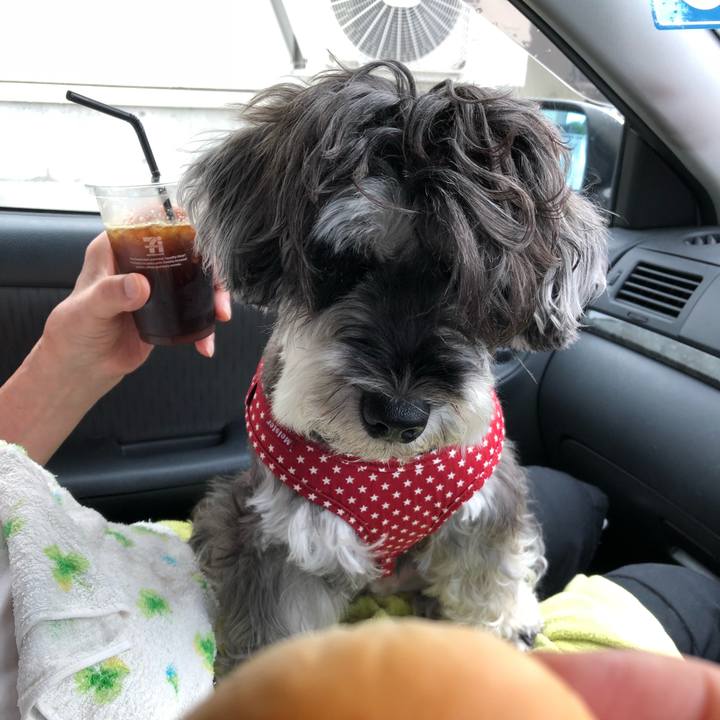 177ecff5 3370 4f0d 88b6 58cda5200395 1535164975932