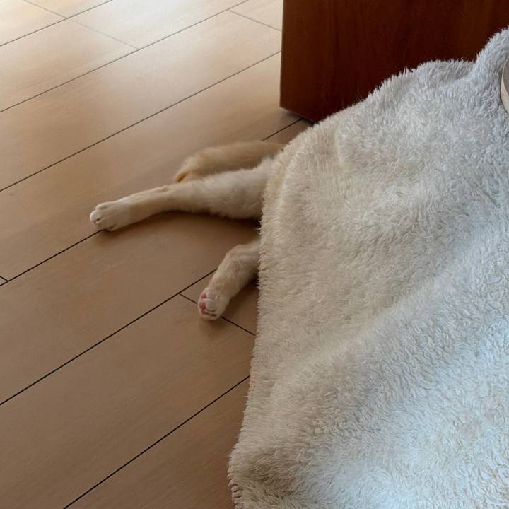 177edb47 fa1a 4bb1 9a26 319b7cfa1319 1774410005384