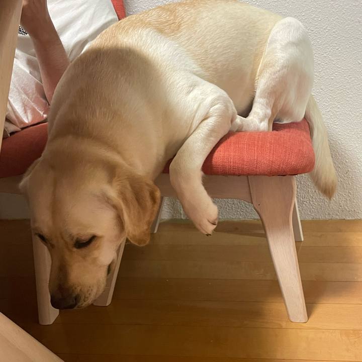 177f268e d242 423d 93ac 5161f22c52d9 1661656745549