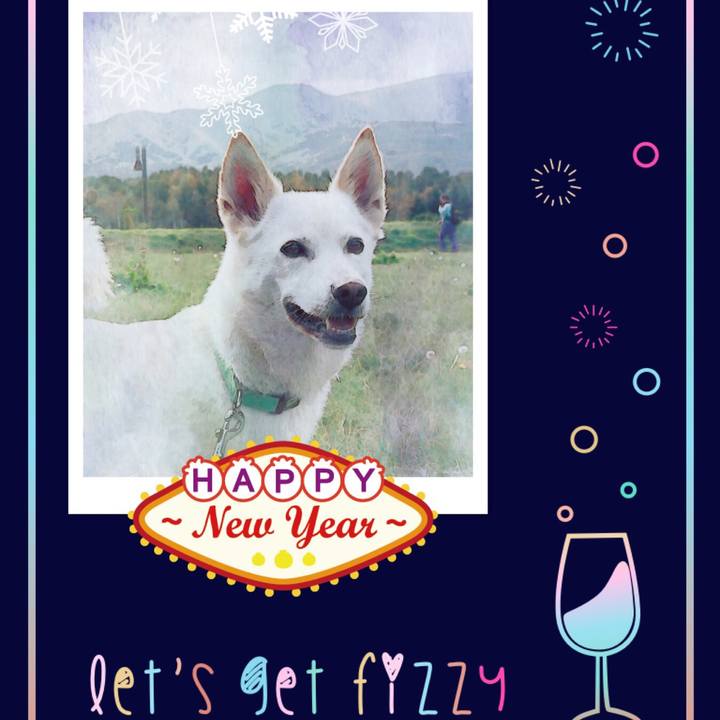 177f2d8f 63ba 48dc 960c 03f3f926da9c 1514796844376