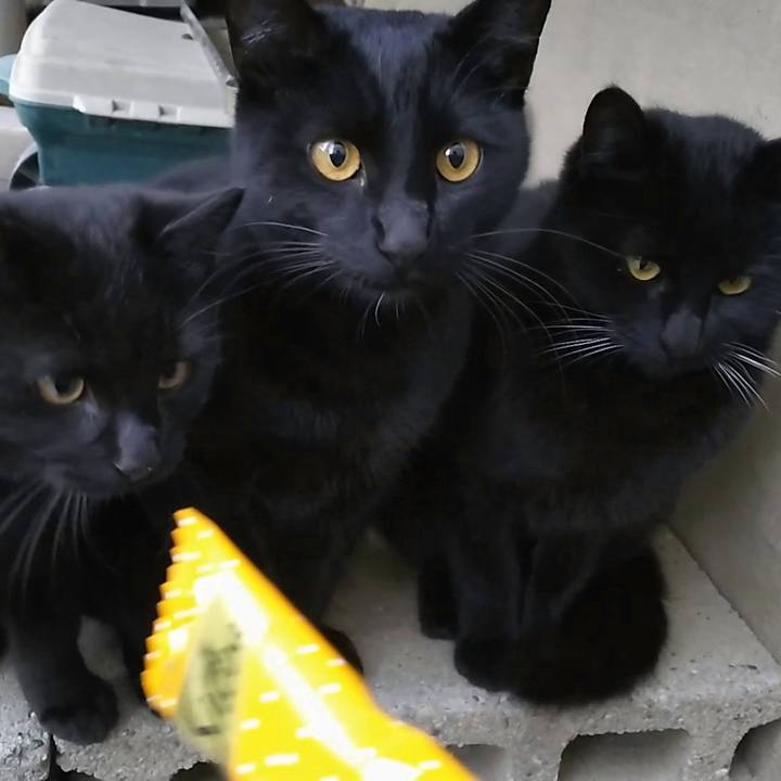 177f6671 5db5 4bfd 9c13 d994b3075e1a 1546071173030