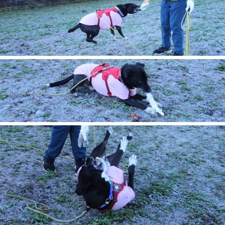 177f8202 6bce 4ebb b1b8 8891020ad62a 1670463852665