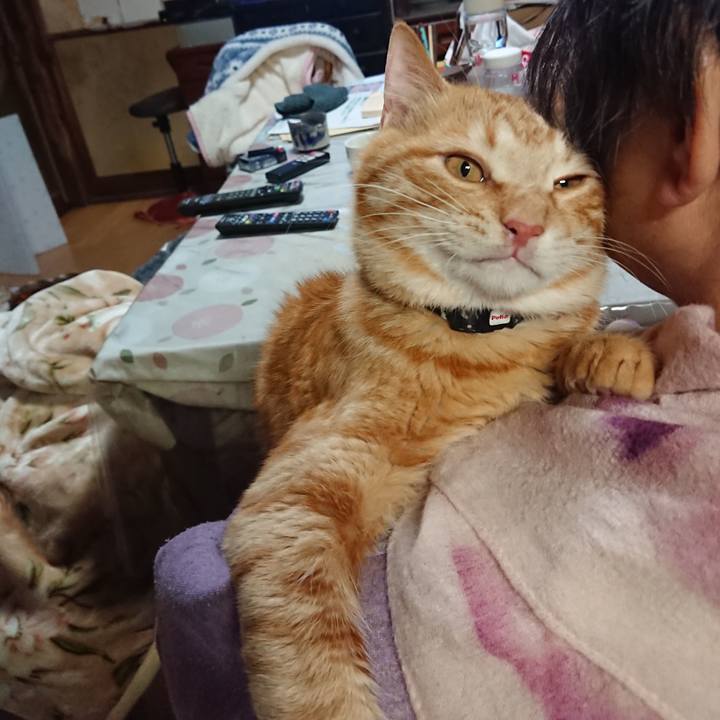 177f975e ccd0 4001 8ee8 ce00c3eca47a 1645522956250