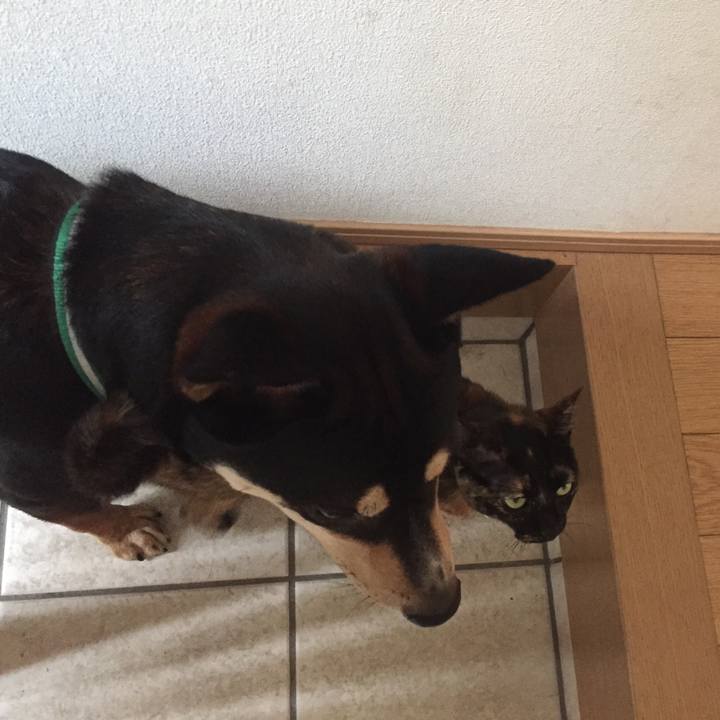 177ff3d5 9b45 4bfb 80b7 2d5e754a4ba3 1527558694268