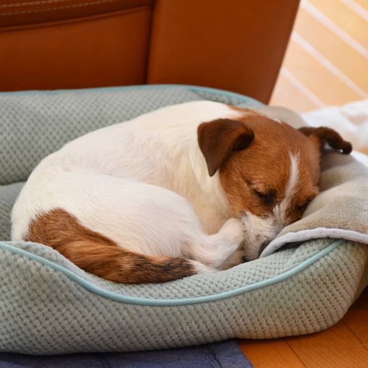 177ffd25 c766 4c5c b9e5 c9ffc47c9f07 1519734691172