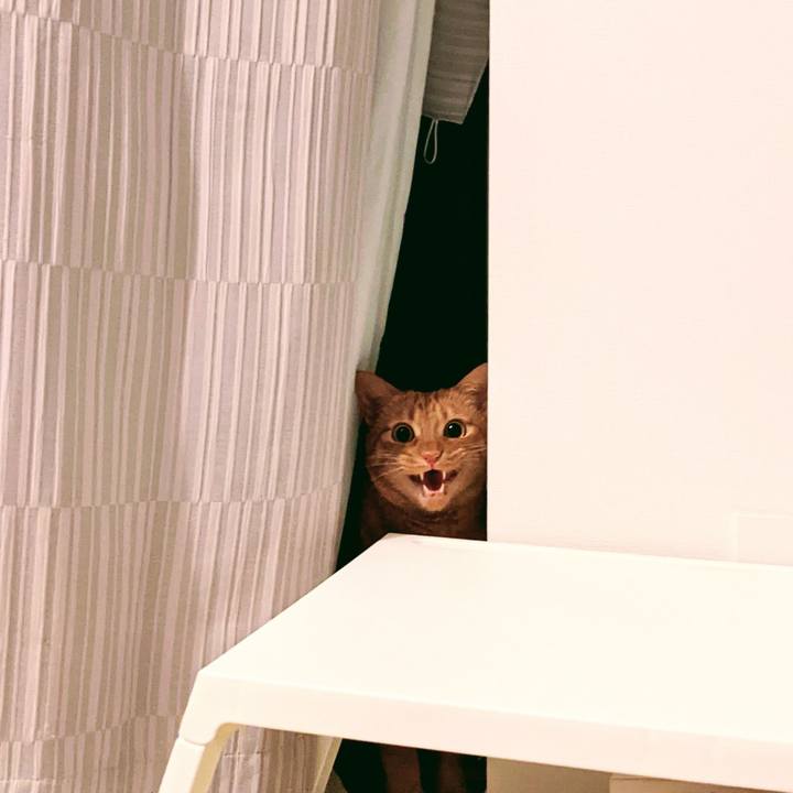 17804961 3ac7 4eb8 88e1 b31d65c44ede 1621952598217