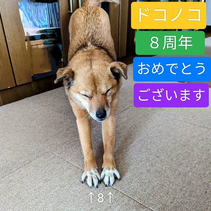 17804fe9 3da0 43c2 b1e5 50e9a1c7cf5c 1717857485263