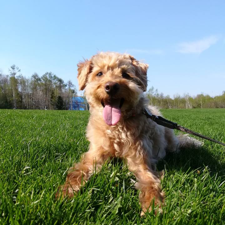 178055a3 226f 4edd 86f0 157f60ce46ee 1557120850023