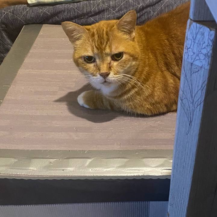 178059cd e3d2 4f95 9a3e 86fcfc61d50a 1658069110010