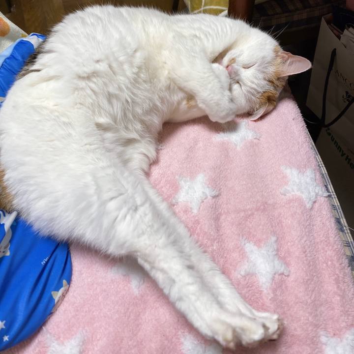 17806081 e9ea 4c70 884c ab0f2c5d37e9 1643286861476