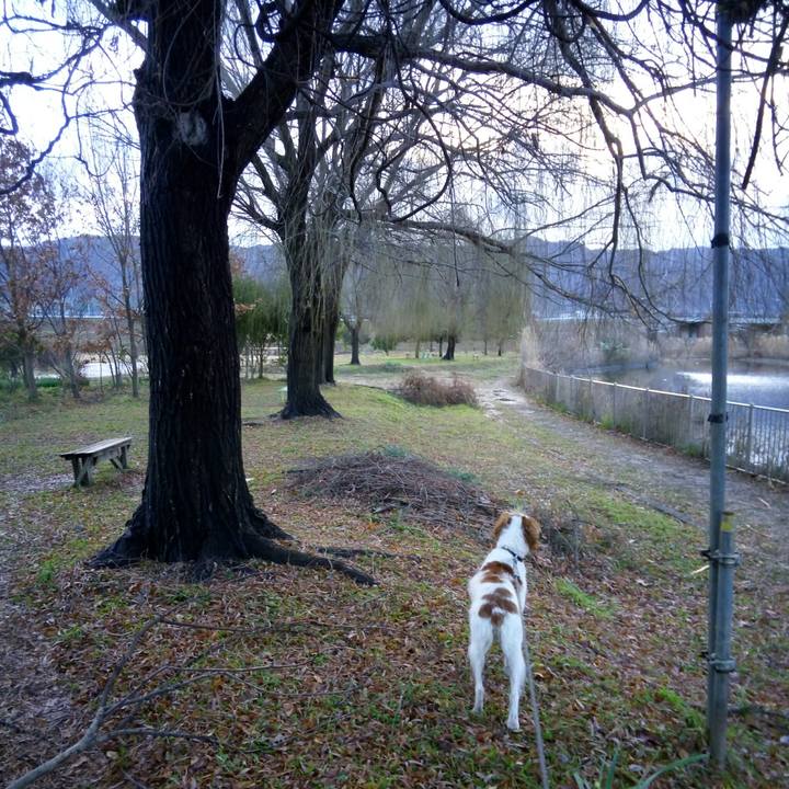 178061b4 be0d 4481 83fd d9450fd89c6b 1515456882228